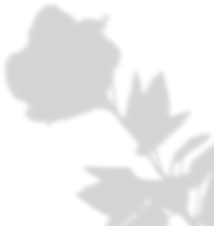 Simple Floral Shadow Single